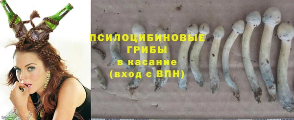 дмт Алексеевка