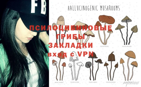 дмт Алексеевка